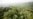 Brazil Revises Decree Allowing Amazon Mining After Criticism