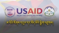 ཨ་རིའི་རོགས་དངུལ་ལས་བོད་མིའི་སྒྲིག་འཛུགས་ལ་ཐེབས་སྲིད་པའི་ཤུགས་རྐྱེན།