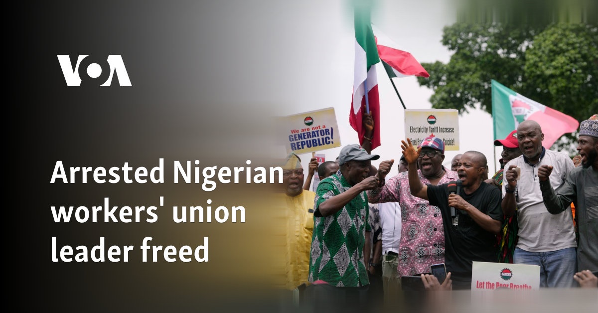 Arrested Nigerian workers' union leader freed