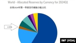 World - Allocated Reserves by Currency for 2024Q1