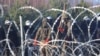 FILE - Polish police and border guards stand near the barbed wire as migrants from the Middle East and elsewhere gather at the Belarus-Poland border near Grodno Grodno, Belarus, Nov. 9, 2021.
