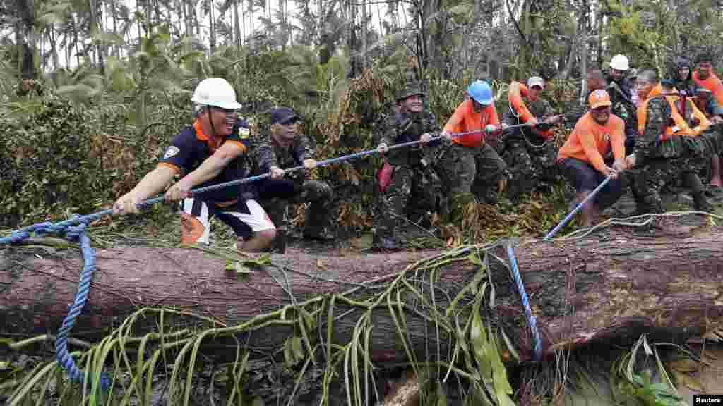 Tentara bekerjasama dengan warga menarik pohon tumbang oleh Topan Hagupit di Samar, Filipina tengah (8/12).