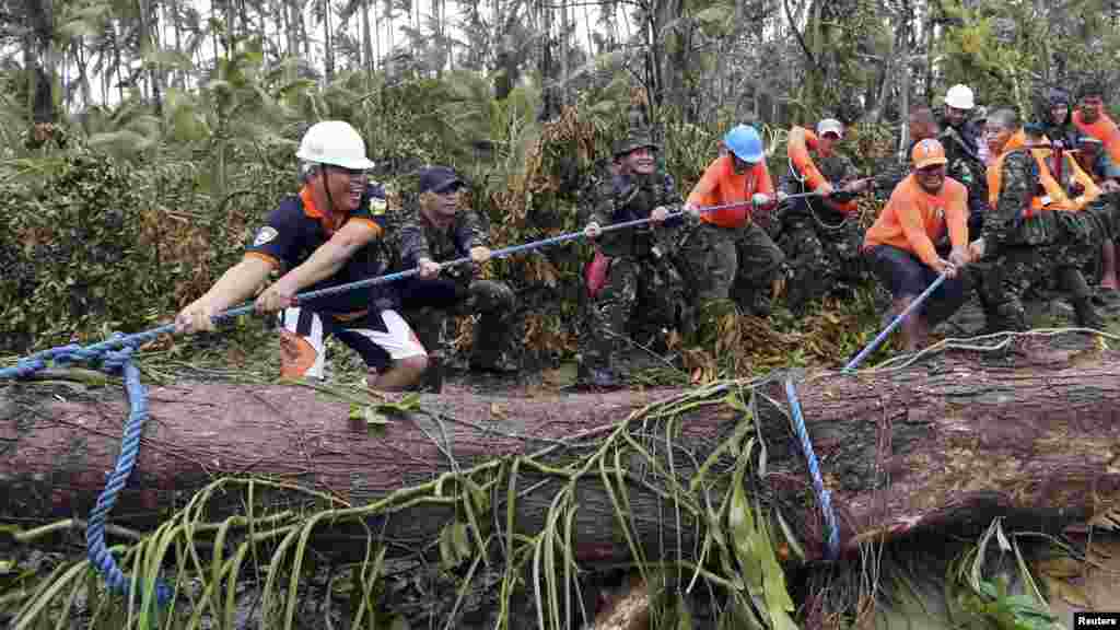 Soldiers join together to pull a fallen tree toppled by Typhoon Hagupit in Eastern Samar, in central Philippines, Dec. 8, 2014. 