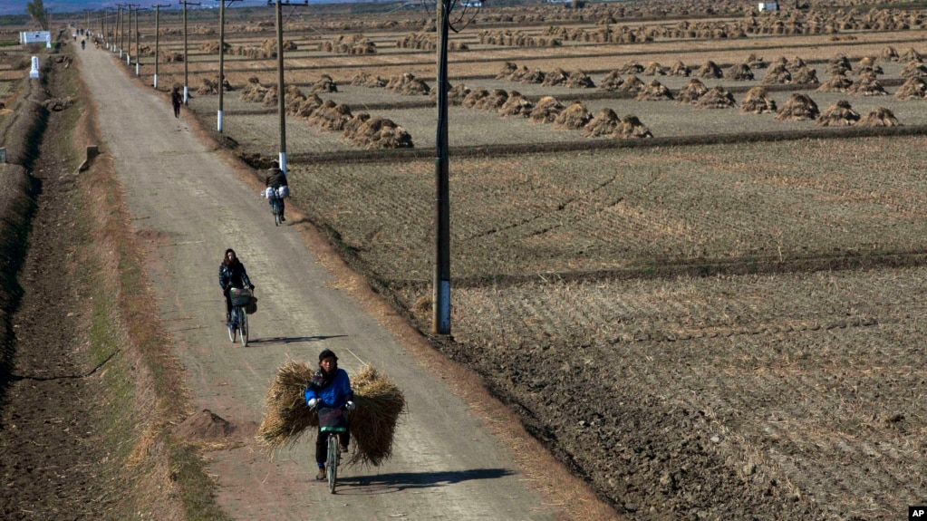 Hasil gambar untuk north koreans farmers