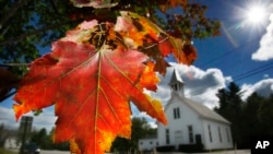 Leaf Peeping Climate Change