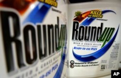 Obat pembasmi Hama "Roundup" produksi perusahaan Monsanto (Foto: dok).