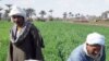 افغانستان میں زراعت کو جدید بنانے کی کوششیں