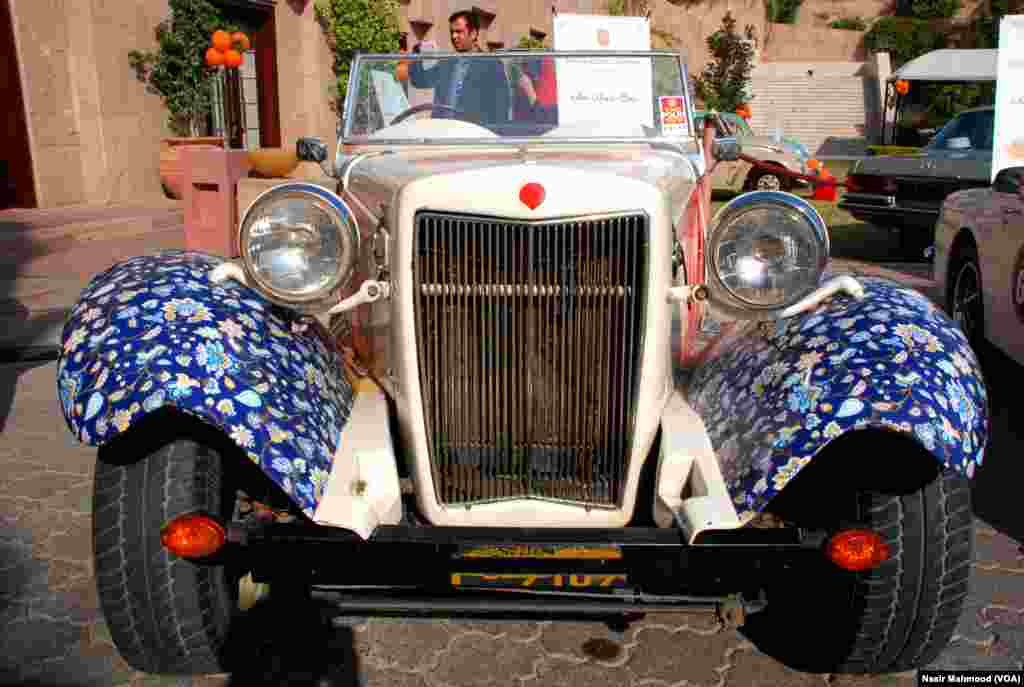 نایاب اور تاریخی کاروں کی نمائش لوگوں کی توجہ کا خاص مرکز بنی رہی۔