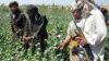 حمله های فزاینده هوایی آمریکا و افغانستان به تاسیسات تولید مواد مخدر طالبان