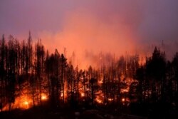 FILE - Trees scorched by the Caldor Fire smolder in Eldorado National Forest, Calif., Sept. 3, 2021.