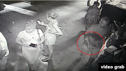 A video screenshot shows a man (right) holding a small shark named Miss Helen after taking it from a touch tank on July 28 at the San Antonio Aquarium. 