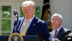 FILE - President Donald Trump gestures as he speaks in the Rose Garden of the White House, June 14, 2019. 