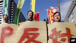 일본 농어민 환태평양 경제동반자 협정 반대 시위 (자료사진)