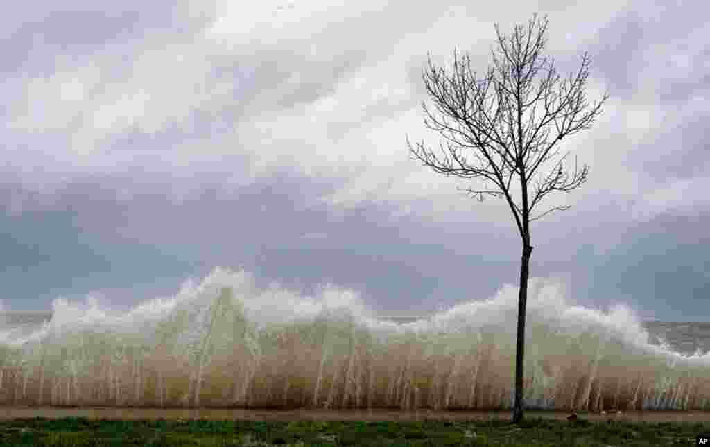 Storm surge hits a small tree as winds from Hurricane Sandy reach Seaside Park in Bridgeport, Connecticut, October 29, 2012. 