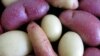 Scientists Unravel Potato's Genetic Blueprint