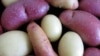 Scientists Unravel Potato's Genetic Blueprint