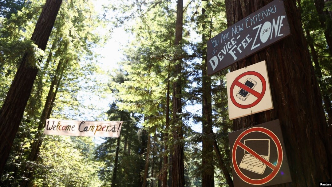 Petunjuk di pohon Redwood raksasa di jalan masuk mempersiapkan peserta kamp untuk melepaskan diri dari teknologi di Camp Grounded di Navarro, California, 20 Juni 2014. 