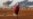 Kurds Struggle to Hold Kobani as Turkey Remains on Sidelines