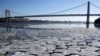 Record Cold Weather Kills 9 Across US