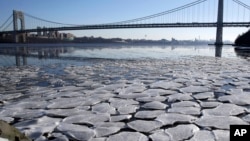 A layer of ice is broken into pieces floating along the banks of the Hudson River at the Palisades Interstate Park with the George Washington Bridge in the background, Jan. 2, 2018, in Fort Lee, New Jersey.