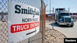 Trucks make their way around the Smithfield Foods packaging plant in Smithfield, Virginia, May 30, 2013.
