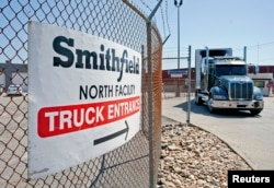 Trucks make their way around the Smithfield Foods packaging plant in Smithfield, Virginia, May 30, 2013.