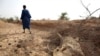 FILE - A herder walks away after showing where he says one of his cows died of starvation, outside Dikka village, in the Matam region of northeastern Senegal, May 1, 2012.