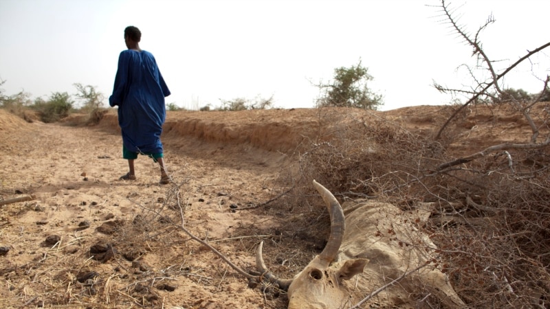 La Banque mondiale tire la sonnette d'alarme sur l'urgence climatique au Sahel