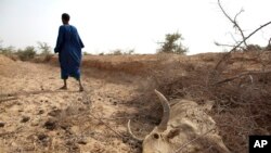 Un berger à l'extérieur du village de Dikka, dans la région de Matam, nord-est du Sénégal, le 1er mai 2012.