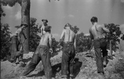 Members of the Civilian Conservation Corps work in Prince George's County, Maryland, November, 1935. (Library of Congress)