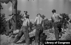 Members of the Civilian Conservation Corps work in Prince George's County, Maryland, November, 1935. (Library of Congress)