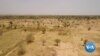 Company Plants Trees in Burkina Faso to Slow Desertification in Conflict Zones 