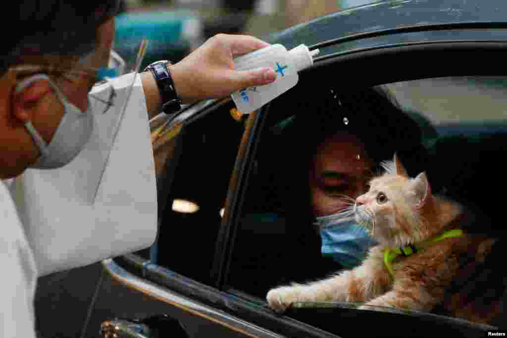 A Catholic priest sprinkles holy water on a cat at a drive-thru pet blessing amid the COVID-19 outbreak on World Animal Day, in Eastwood Mall, Quezon City, Philippines.