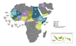 This map from the University of Virginia Medical School is from 2017 and shows where FGM occurs most in the world.