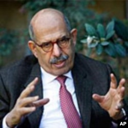 Mohamed ElBaradei