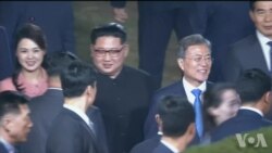 韩国总统文在寅为朝鲜领导人金正恩举办欢送仪式