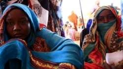 UNICEF, WFP Launch Resilience Program for Darfur Vulnerable [4:11]