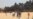 Gazans Mark 'Nakba' With Protests, Grief