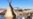 Anti-Dakota Pipeline Protesters: Camp Cleared, But Opposition Ongoing