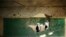 Palestinian students look inside a classroom that witnesses said was shelled by Israel during its offensive, on the first day of the new school year east of Gaza City September 14, 2014.