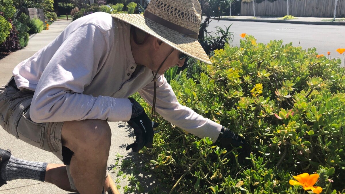 How to Control Weeds When Planting