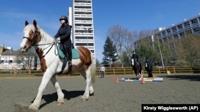 Club Teaches Kids About Horse Riding And Life