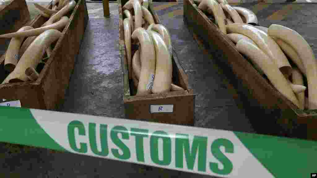 HONG KONG &nbsp;Crates of illegal ivory valued at $5.3 million were displayed at a Hing King press conference in August, 2013. The seisure included rhino horns and leopard skins.