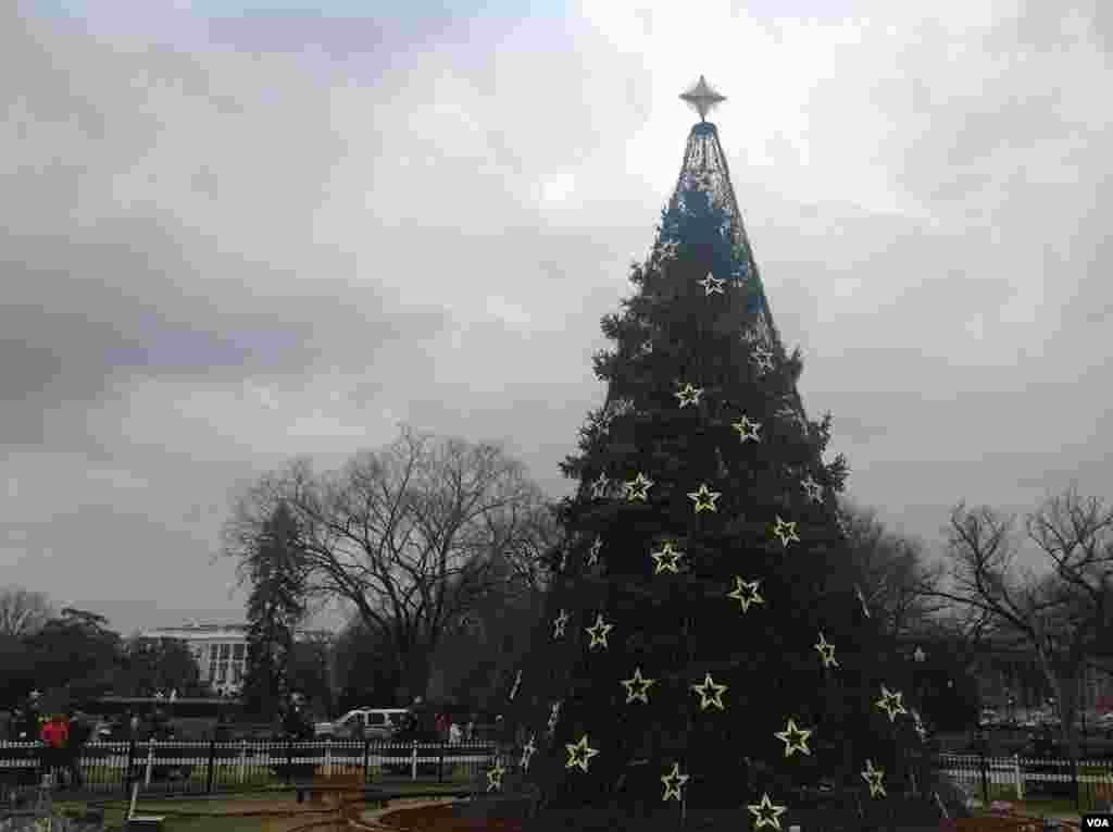 白宫前的国家圣诞树。奥巴马总统携家人12月6日晚点亮了这颗圣诞树。现场观众据估计有1700多人。这是第90届点亮国家圣诞树的仪式。