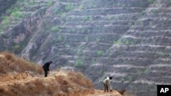 FILE - Man-made terraces are seen on a hillside in the Loess Plateau, in China's northern Shaanxi province, Oct. 26, 1995. Archeologists recently dicovered artifacts in the area that suggest that human-like creatures trekked out of Africa much earlier tha