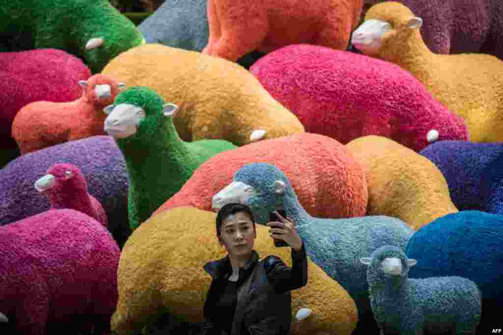 A woman takes a selfie in front of a multi-colored sheep installation displayed in a shopping mall for the Chinese New Year celebrations in Hong Kong.