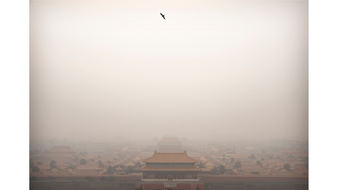 FILE - A bird flies over the Forbidden City on a day with high levels of air pollution in Beijing, China, Jan. 18, 2020.