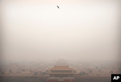 FILE - A bird flies over the Forbidden City on a day of high levels of air pollution in Beijing, China, January 18, 2020.