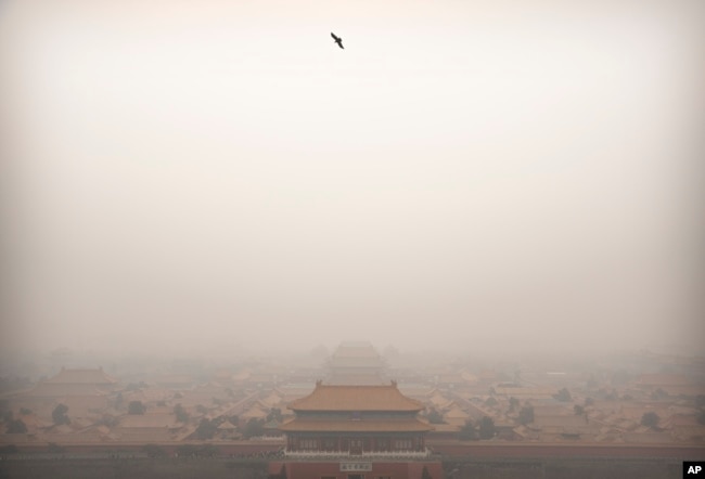 Seekor burung terbang di atas Kota Terlarang pada hari dengan tingkat polusi udara yang tinggi di Beijing, China, 18 Januari 2020. (Foto: AP)