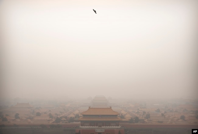 FILE - A bird flies over the Forbidden City on a day with high levels of air pollution in Beijing, China, Jan. 18, 2020.